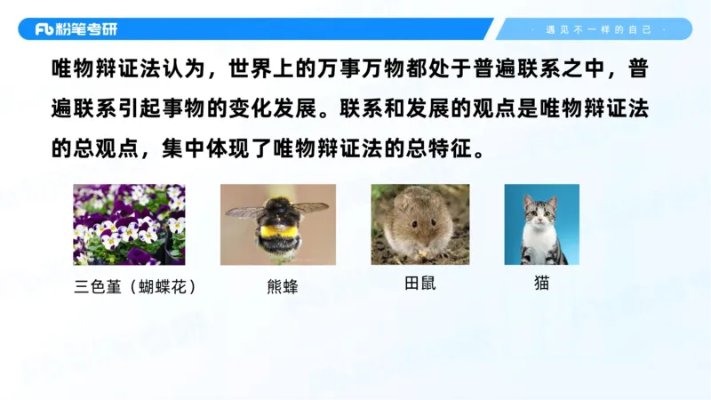 03.25马原强化3_2026考公资料_（49）政治理论合集_政治理论合集_2025考研政治_09.粉笔_03.强化阶段_00.讲义