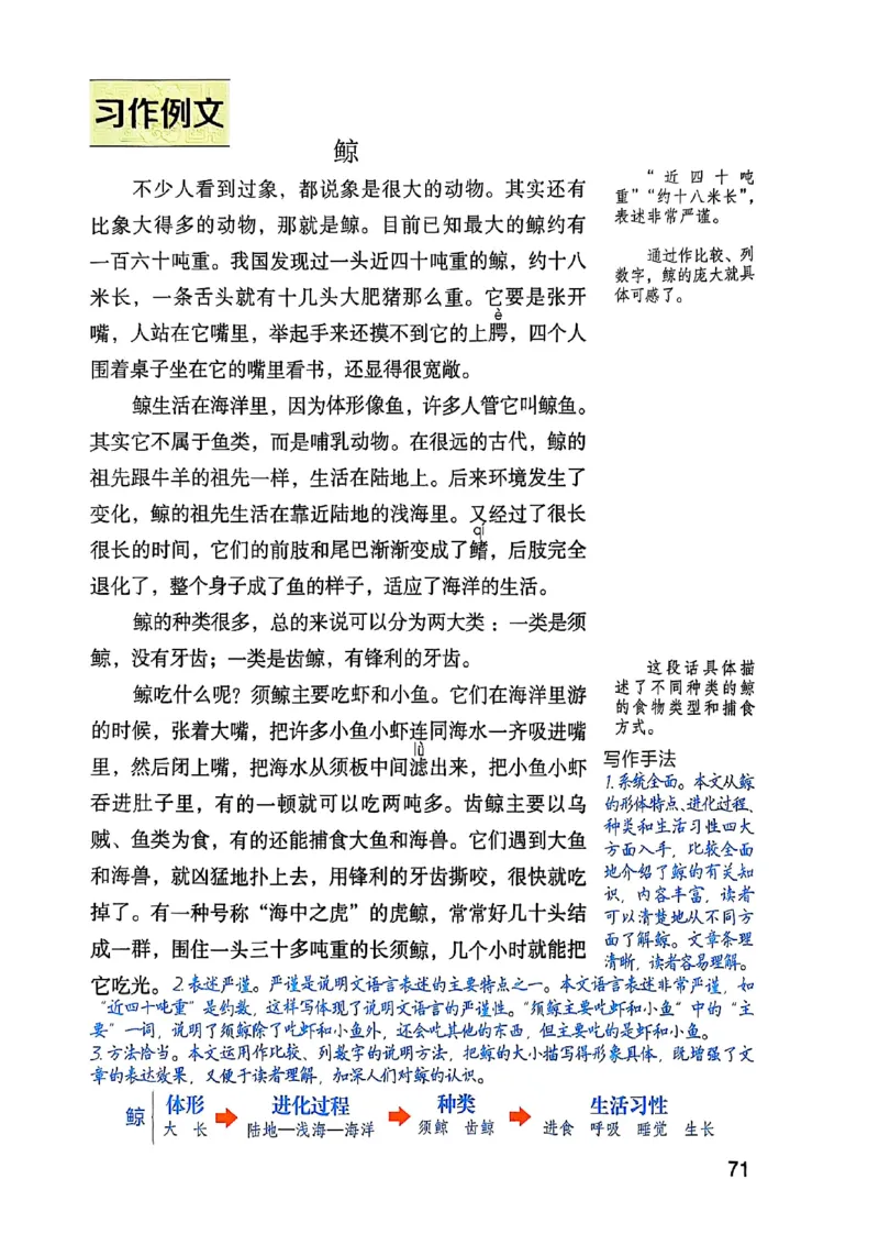 五上语文《课堂笔记》128页_2025秋《课堂笔记预习课》语文1-6