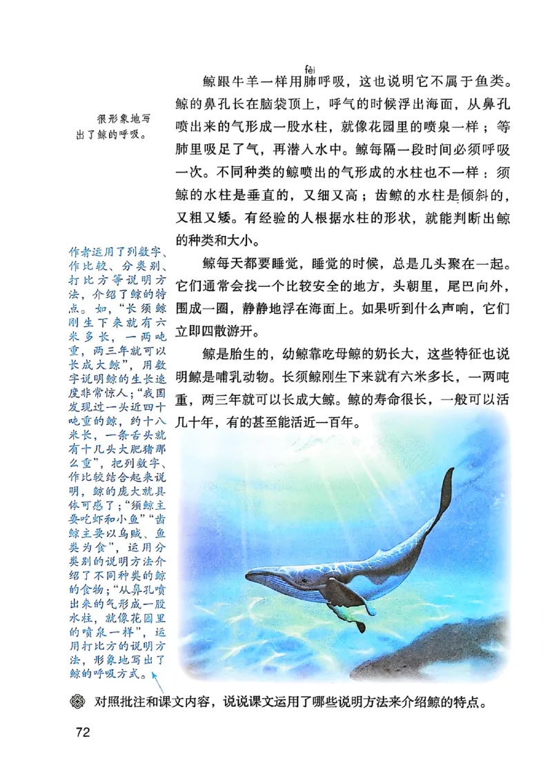 五上语文《课堂笔记》128页_2025秋《课堂笔记预习课》语文1-6