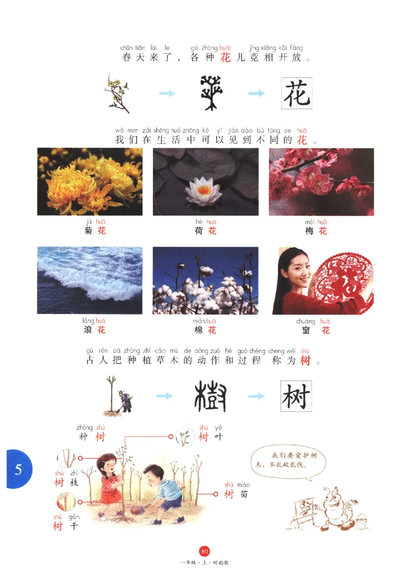 一年级上J1_一年级语文上册（统编版）_老课标资料_教学视频_第一套_010-绘本课堂PDF可下载打印