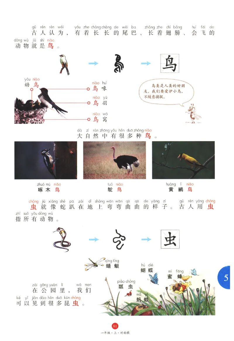 一年级上J1_一年级语文上册（统编版）_老课标资料_教学视频_第一套_010-绘本课堂PDF可下载打印