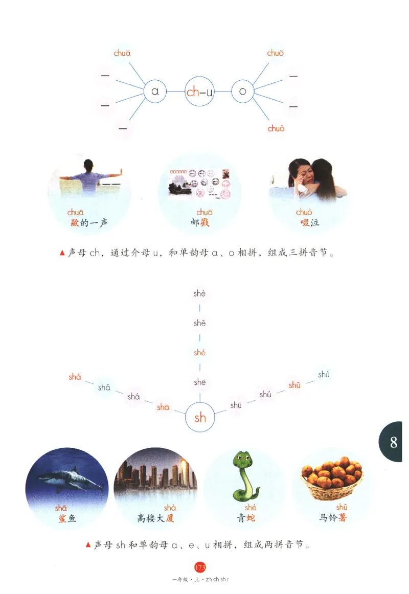一年级上J1_一年级语文上册（统编版）_老课标资料_教学视频_第一套_010-绘本课堂PDF可下载打印