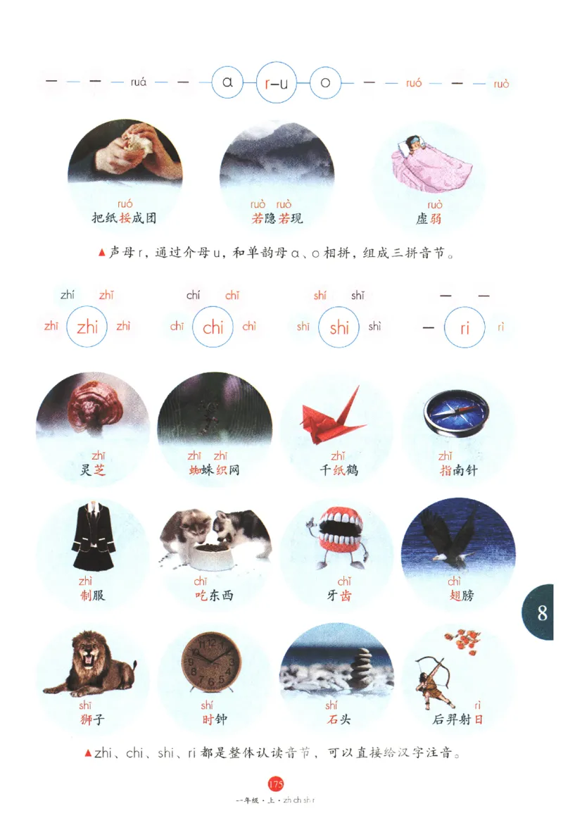 一年级上J1_一年级语文上册（统编版）_老课标资料_教学视频_第一套_010-绘本课堂PDF可下载打印