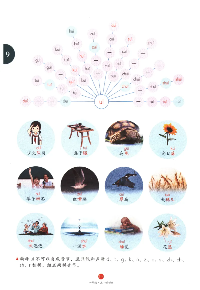 一年级上J1_一年级语文上册（统编版）_老课标资料_教学视频_第一套_010-绘本课堂PDF可下载打印