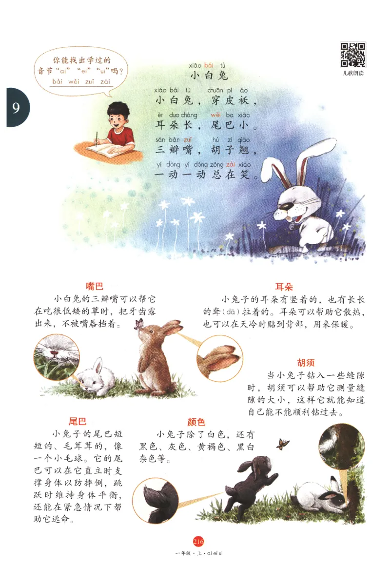 一年级上J1_一年级语文上册（统编版）_老课标资料_教学视频_第一套_010-绘本课堂PDF可下载打印