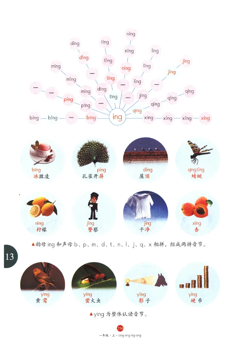 一年级上J1_一年级语文上册（统编版）_老课标资料_教学视频_第一套_010-绘本课堂PDF可下载打印
