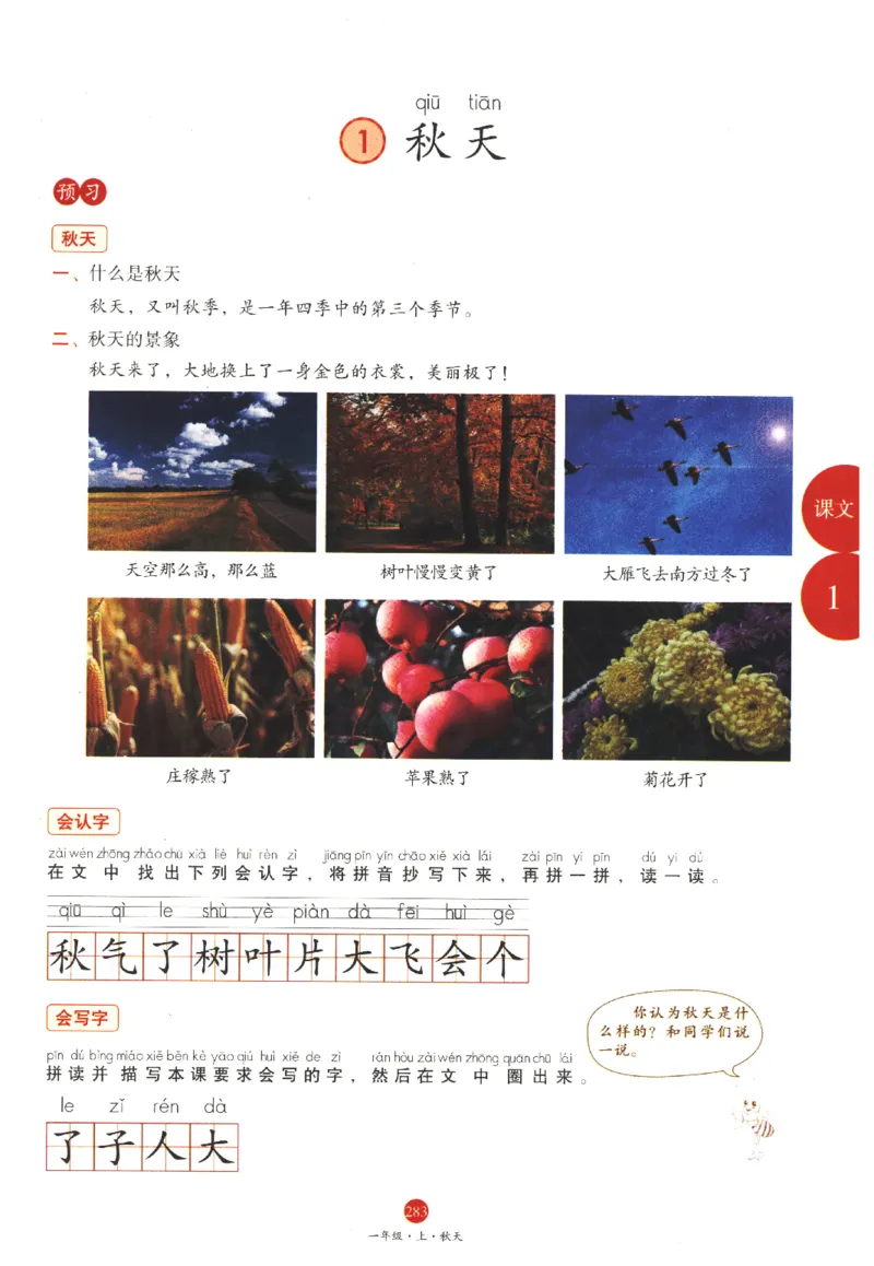 一年级上J1_一年级语文上册（统编版）_老课标资料_教学视频_第一套_010-绘本课堂PDF可下载打印