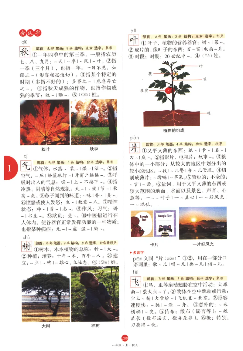 一年级上J1_一年级语文上册（统编版）_老课标资料_教学视频_第一套_010-绘本课堂PDF可下载打印