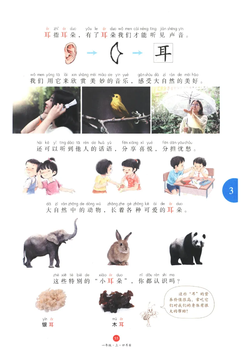 一年级上J1_一年级语文上册（统编版）_老课标资料_教学视频_第一套_010-绘本课堂PDF可下载打印