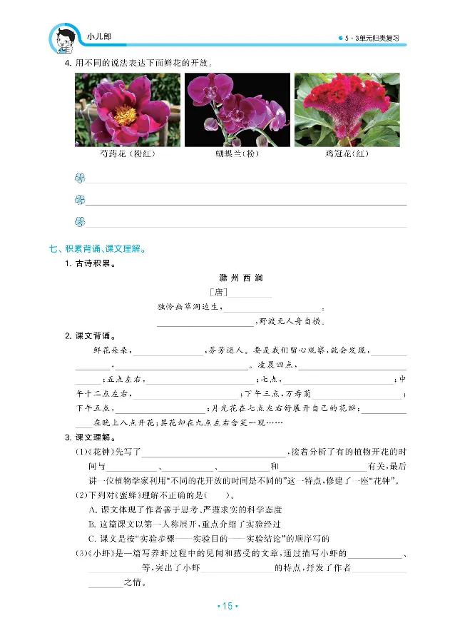 归类复习部编版语文三下册单元归类复习_三年级上下册资料_小学三年级学习资料-25年更新版_3-02、小学三年级语文下册_3-2-2、练习题、作业、试题、试卷_预习资料