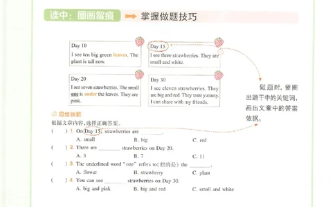 小英阅读100篇三年级_25秋《一本小学英语阅读训练100篇》第九版3-6人教_26版一本小学英语阅读100篇三年级