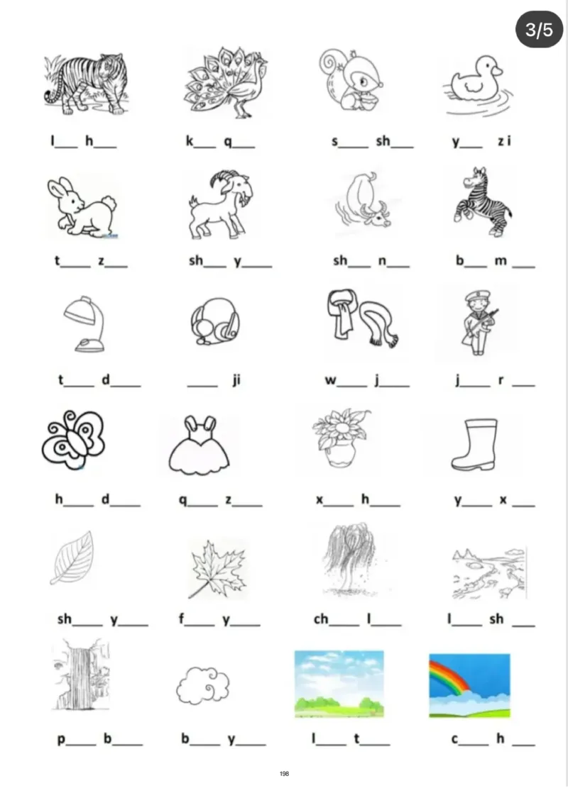 幼小衔接一本通资料合集汇总_一年级上下册资料_小学一年级学习资料-25年更新版_1-00、幼小衔接_幼小衔接自然拼读