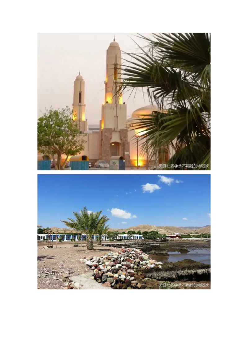 卡宾达的灯塔_t涯_天涯全集（更全，但部分需解压）_天涯合集235篇_永不消逝的电磁波三部