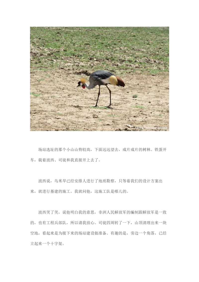 卡宾达的灯塔_t涯_天涯全集（更全，但部分需解压）_天涯合集235篇_永不消逝的电磁波三部