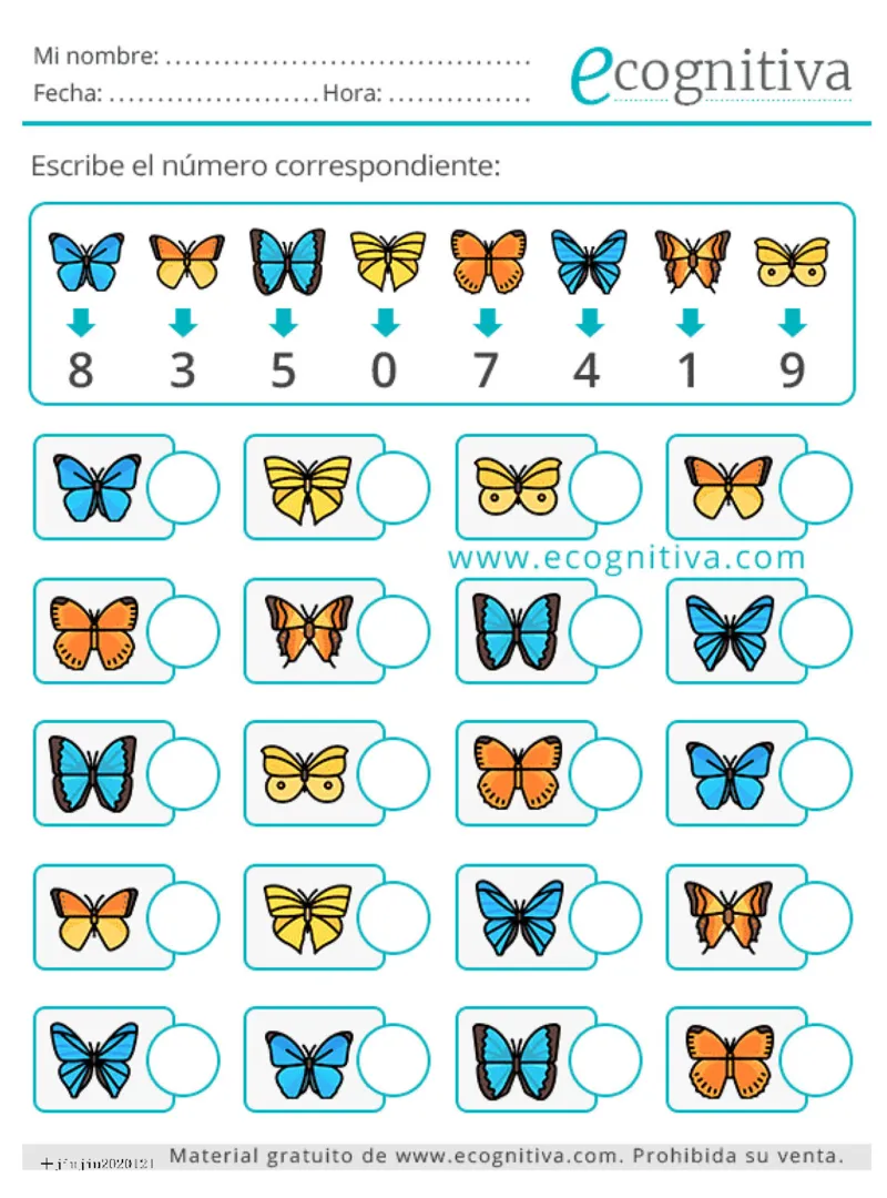 可爱的专注力训练_一年级上下册资料_小学一年级学习资料-25年更新版_1-00、幼小衔接_幼小衔接专注力启蒙篇