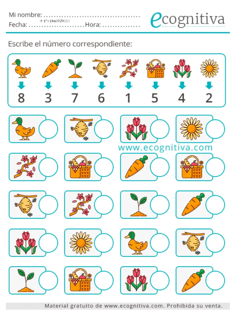 可爱的专注力训练_一年级上下册资料_小学一年级学习资料-25年更新版_1-00、幼小衔接_幼小衔接专注力启蒙篇