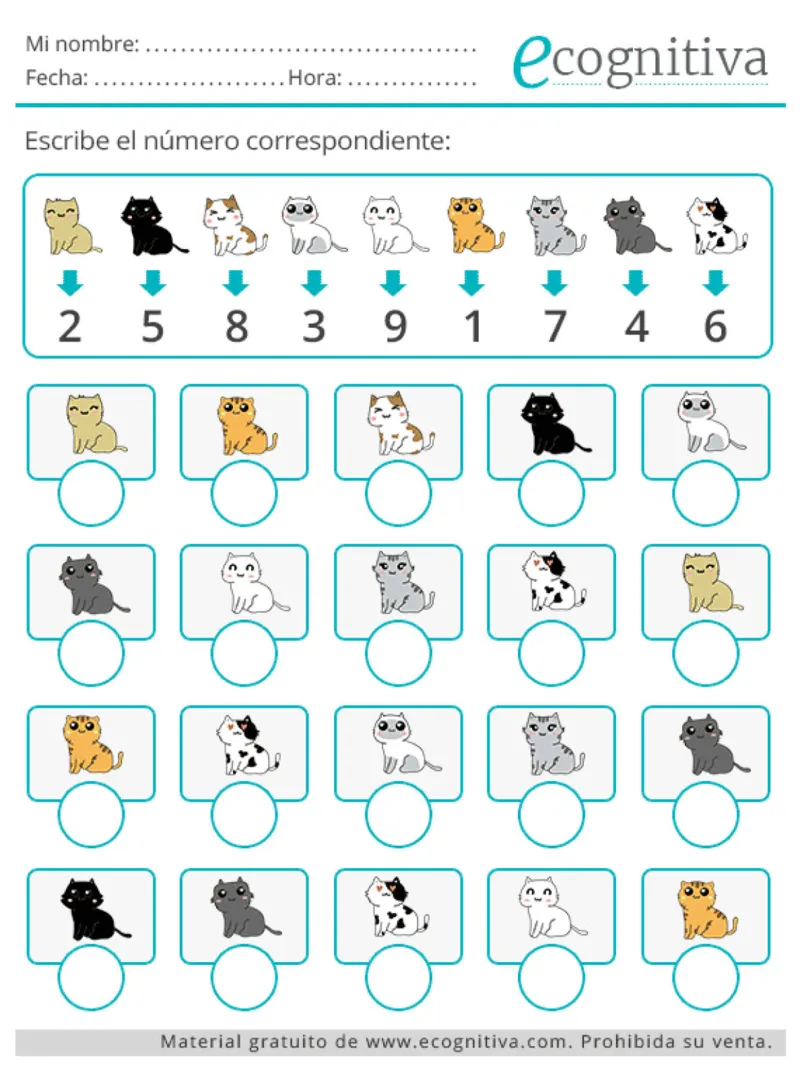 可爱的专注力训练_一年级上下册资料_小学一年级学习资料-25年更新版_1-00、幼小衔接_幼小衔接专注力启蒙篇