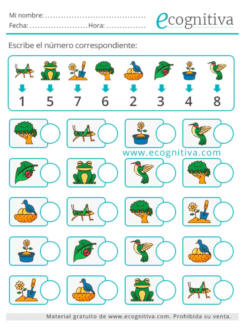 可爱的专注力训练_一年级上下册资料_小学一年级学习资料-25年更新版_1-00、幼小衔接_幼小衔接专注力启蒙篇