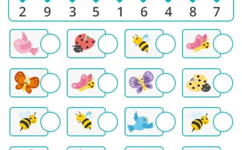 可爱的专注力训练_一年级上下册资料_小学一年级学习资料-25年更新版_1-00、幼小衔接_幼小衔接专注力启蒙篇