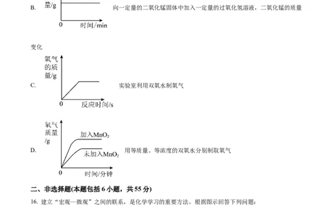 精品解析：广东省广州市华南师范大学附属惠阳学校2024-2025学年九年级上学期期中学情调研考试化学试卷（原卷版）_广州九上月考+期中+期末+一模二模+中考真题