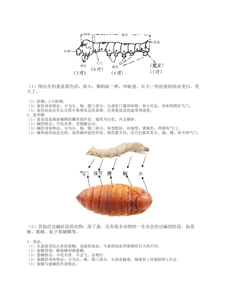 新教科版科学三下知识点精编图文版_三年级上下册资料_小学三年级学习资料-25年更新版_3-10、小学三年级科学下册_教科版_知识点