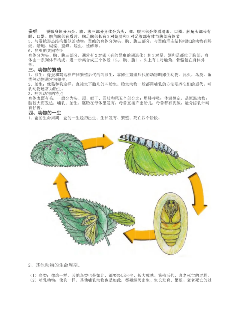 新教科版科学三下知识点精编图文版_三年级上下册资料_小学三年级学习资料-25年更新版_3-10、小学三年级科学下册_教科版_知识点