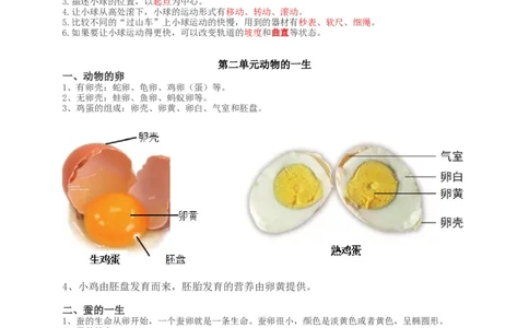 新教科版科学三下知识点精编图文版_三年级上下册资料_小学三年级学习资料-25年更新版_3-10、小学三年级科学下册_教科版_知识点