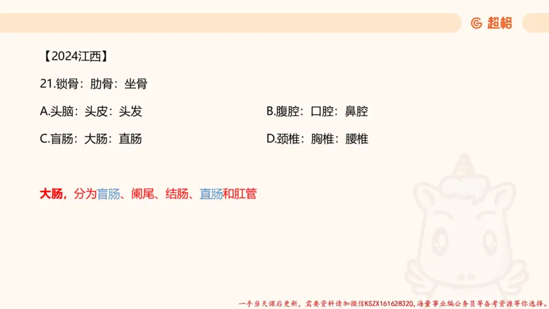 04.判断推理分组刷题4程意_2026考公资料_（05）超格_行测申论2025超格合集(行测&申论&政治理论)_判断2025程意判断推理刷题_讲义