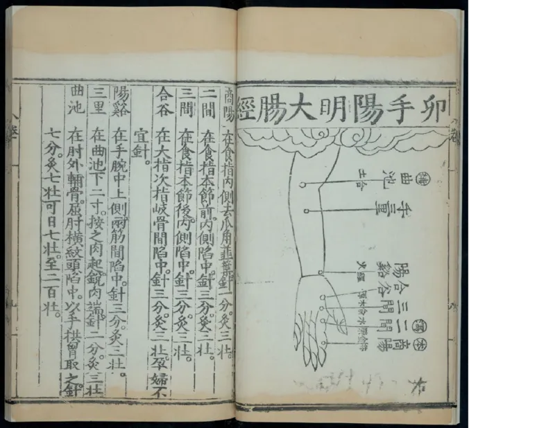 11_绝版书_天涯系列_t涯_绝版古籍电子书合集（13大类）_医书类_针灸大成