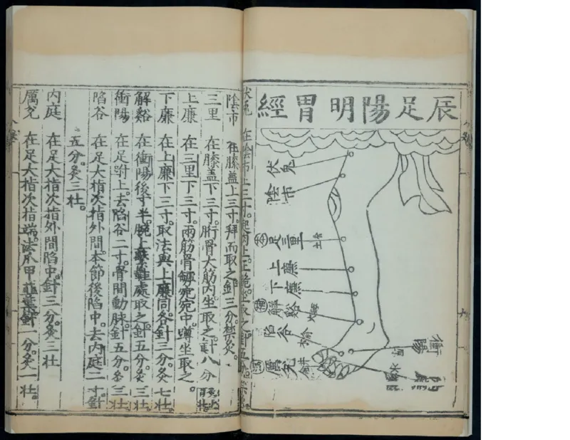 11_绝版书_天涯系列_t涯_绝版古籍电子书合集（13大类）_医书类_针灸大成