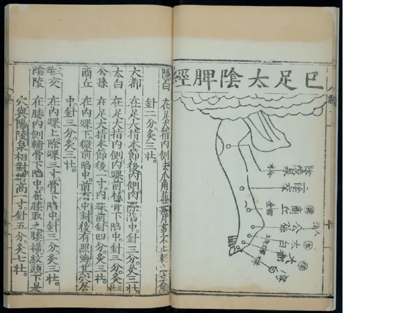 11_绝版书_天涯系列_t涯_绝版古籍电子书合集（13大类）_医书类_针灸大成