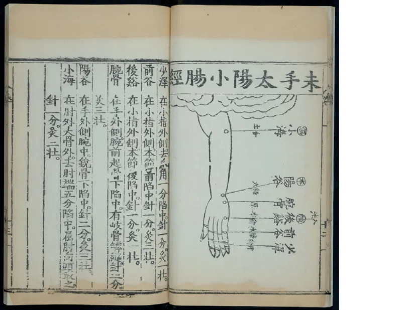 11_绝版书_天涯系列_t涯_绝版古籍电子书合集（13大类）_医书类_针灸大成