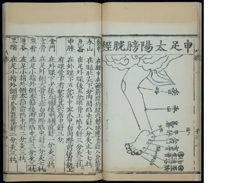 11_绝版书_天涯系列_t涯_绝版古籍电子书合集（13大类）_医书类_针灸大成