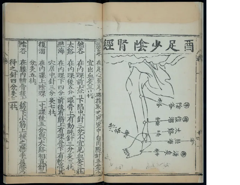 11_绝版书_天涯系列_t涯_绝版古籍电子书合集（13大类）_医书类_针灸大成