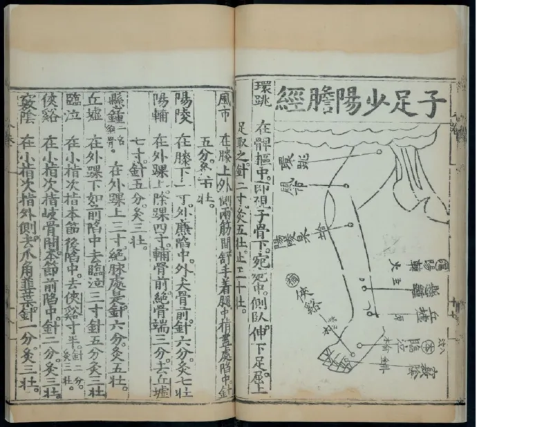 11_绝版书_天涯系列_t涯_绝版古籍电子书合集（13大类）_医书类_针灸大成