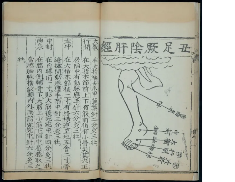 11_绝版书_天涯系列_t涯_绝版古籍电子书合集（13大类）_医书类_针灸大成