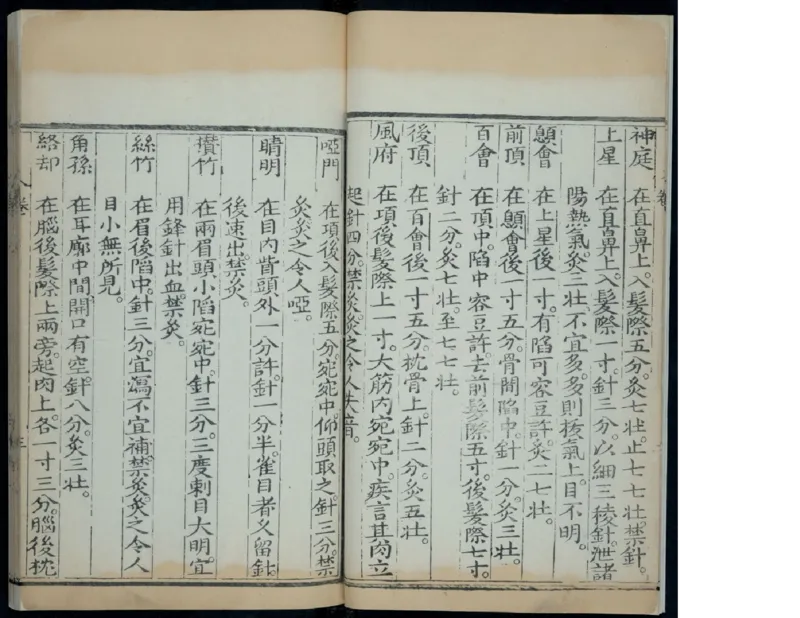 11_绝版书_天涯系列_t涯_绝版古籍电子书合集（13大类）_医书类_针灸大成