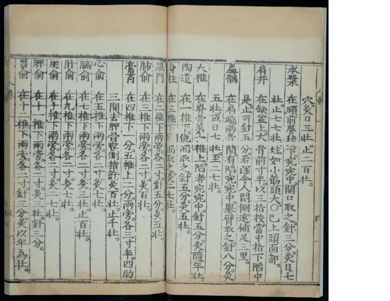 11_绝版书_天涯系列_t涯_绝版古籍电子书合集（13大类）_医书类_针灸大成