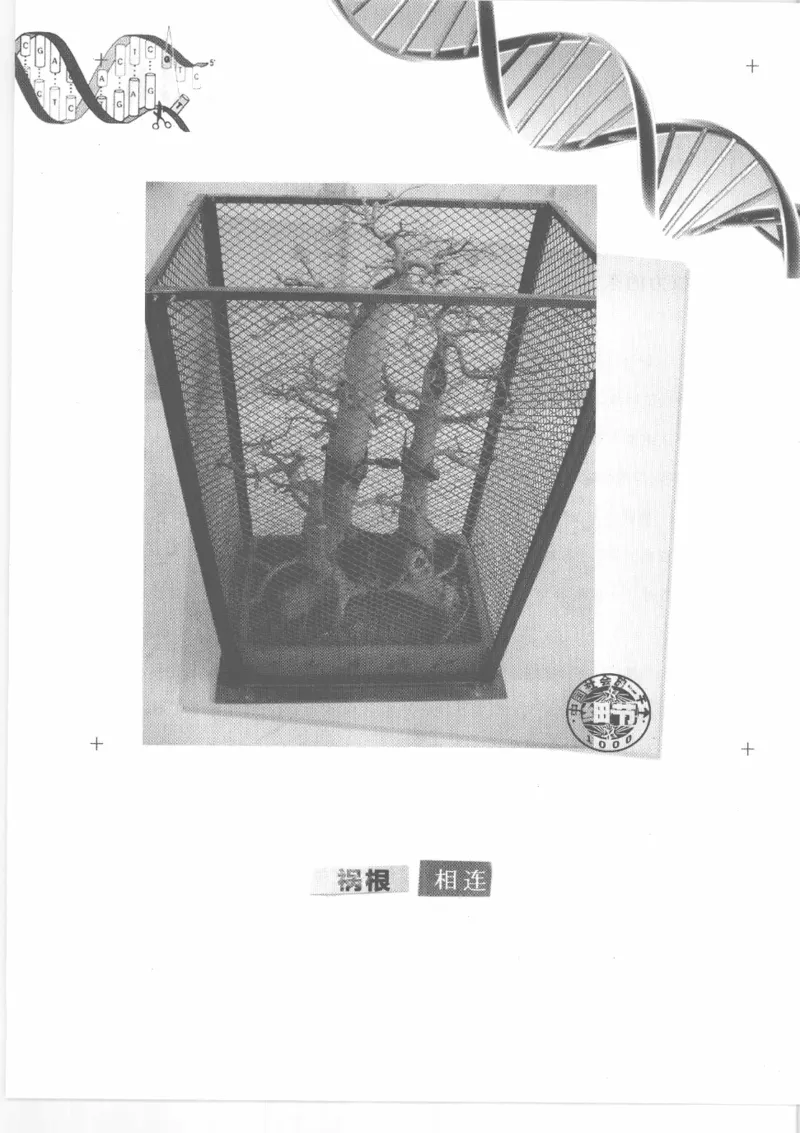 04.《中国社会的一千个细节-2》[世纪婴儿编著][河南文艺出版社][978-7-80765-186-4][2010.4][P318]_绝版书_天涯系列_t涯_《天涯神贴去水印纯干货收藏版-汇总版》天涯的干货[pdf]_天涯社区优质书籍