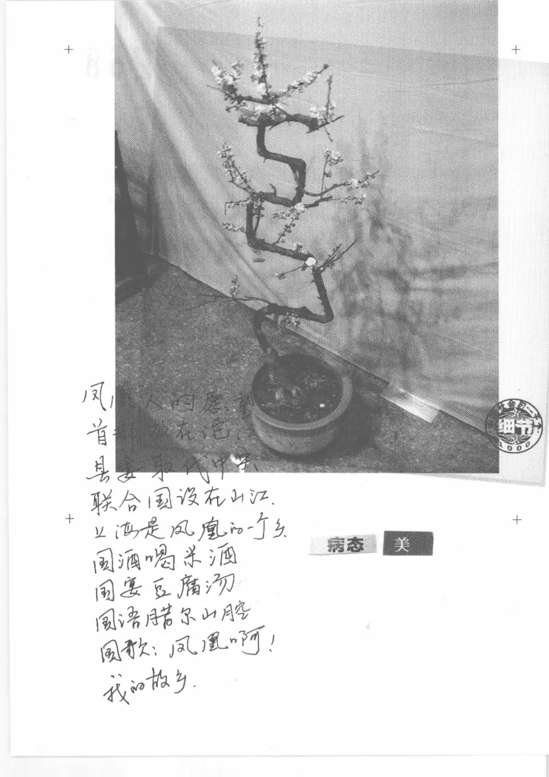 04.《中国社会的一千个细节-2》[世纪婴儿编著][河南文艺出版社][978-7-80765-186-4][2010.4][P318]_绝版书_天涯系列_t涯_《天涯神贴去水印纯干货收藏版-汇总版》天涯的干货[pdf]_天涯社区优质书籍