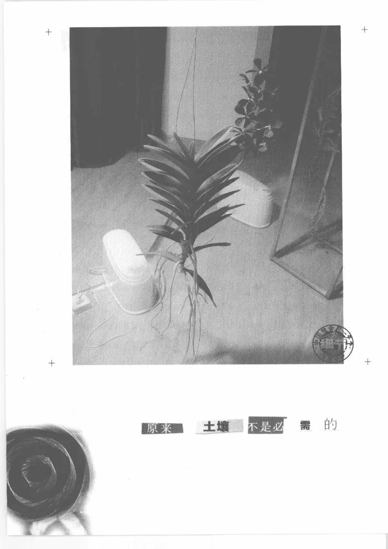 04.《中国社会的一千个细节-2》[世纪婴儿编著][河南文艺出版社][978-7-80765-186-4][2010.4][P318]_绝版书_天涯系列_t涯_《天涯神贴去水印纯干货收藏版-汇总版》天涯的干货[pdf]_天涯社区优质书籍