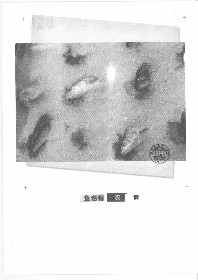 04.《中国社会的一千个细节-2》[世纪婴儿编著][河南文艺出版社][978-7-80765-186-4][2010.4][P318]_绝版书_天涯系列_t涯_《天涯神贴去水印纯干货收藏版-汇总版》天涯的干货[pdf]_天涯社区优质书籍