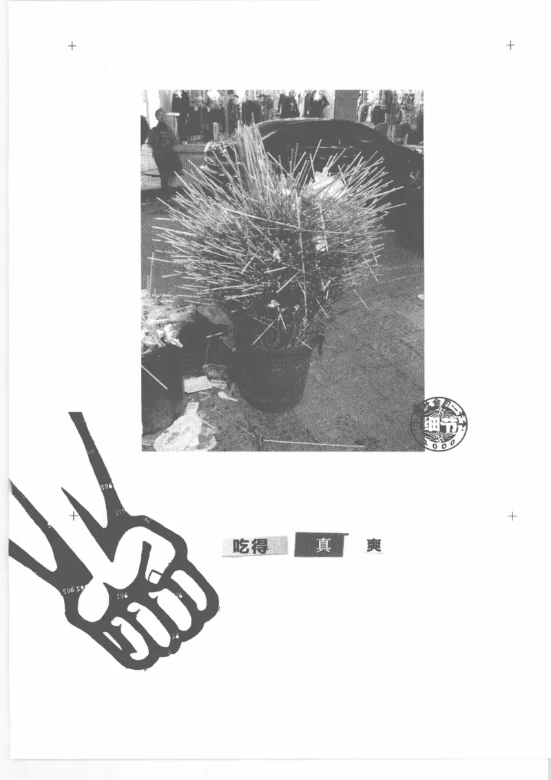 04.《中国社会的一千个细节-2》[世纪婴儿编著][河南文艺出版社][978-7-80765-186-4][2010.4][P318]_绝版书_天涯系列_t涯_《天涯神贴去水印纯干货收藏版-汇总版》天涯的干货[pdf]_天涯社区优质书籍