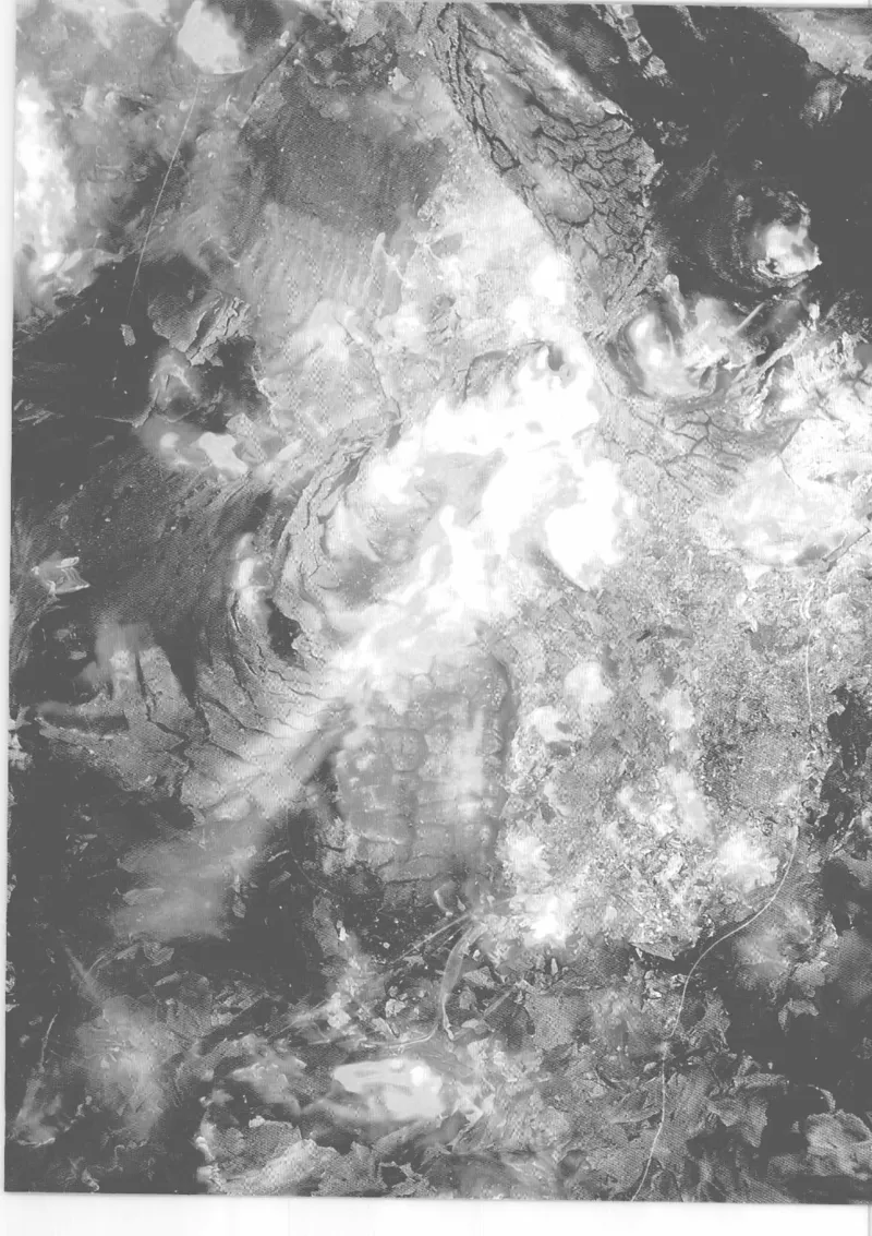 04.《中国社会的一千个细节-2》[世纪婴儿编著][河南文艺出版社][978-7-80765-186-4][2010.4][P318]_绝版书_天涯系列_t涯_《天涯神贴去水印纯干货收藏版-汇总版》天涯的干货[pdf]_天涯社区优质书籍