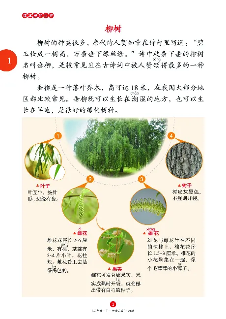 二（下）语文年级阅读_二年级上下册资料_小学二年级学习资料-25年更新版_2-02、小学二年级语文下册_2-2-2、练习题、作业、试题、试卷_专项练习_精品专项训练