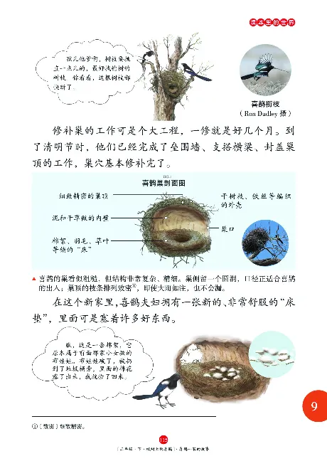 二（下）语文年级阅读_二年级上下册资料_小学二年级学习资料-25年更新版_2-02、小学二年级语文下册_2-2-2、练习题、作业、试题、试卷_专项练习_精品专项训练