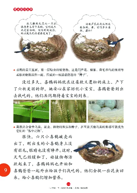 二（下）语文年级阅读_二年级上下册资料_小学二年级学习资料-25年更新版_2-02、小学二年级语文下册_2-2-2、练习题、作业、试题、试卷_专项练习_精品专项训练