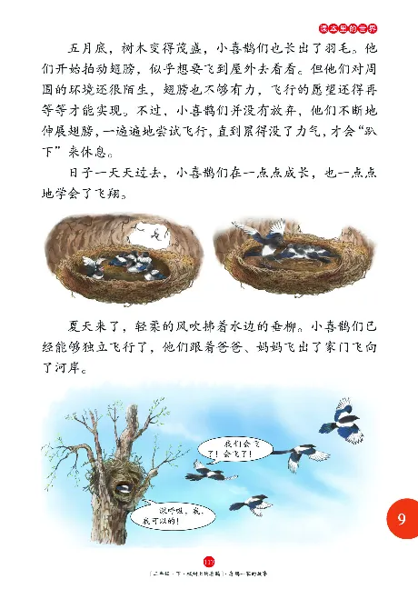 二（下）语文年级阅读_二年级上下册资料_小学二年级学习资料-25年更新版_2-02、小学二年级语文下册_2-2-2、练习题、作业、试题、试卷_专项练习_精品专项训练