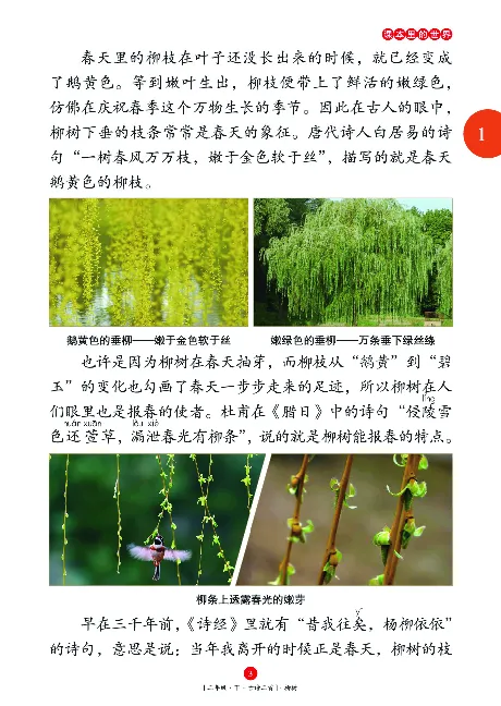 二（下）语文年级阅读_二年级上下册资料_小学二年级学习资料-25年更新版_2-02、小学二年级语文下册_2-2-2、练习题、作业、试题、试卷_专项练习_精品专项训练