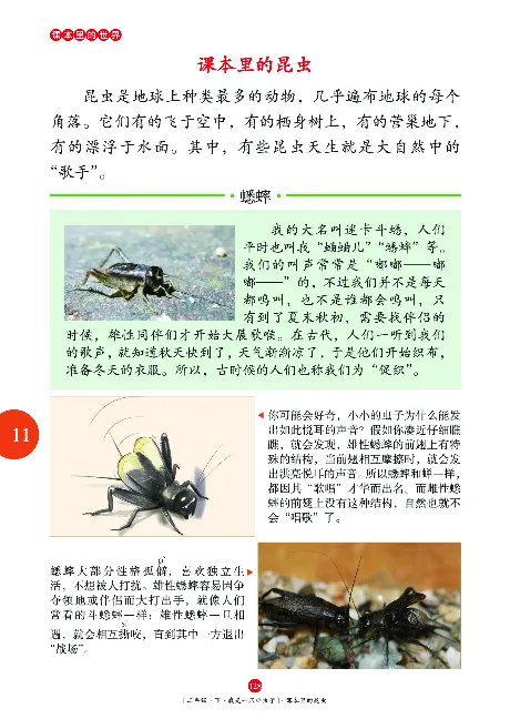 二（下）语文年级阅读_二年级上下册资料_小学二年级学习资料-25年更新版_2-02、小学二年级语文下册_2-2-2、练习题、作业、试题、试卷_专项练习_精品专项训练